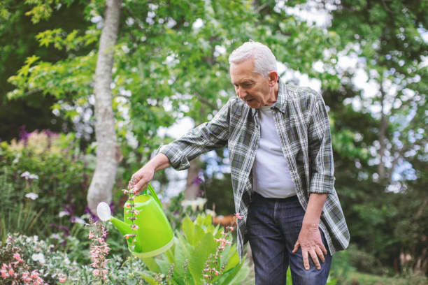 istock Retired senior man watering plants in back yard 1125875051