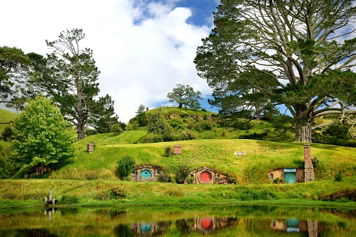 Landscape New Zealand, green, traditional.