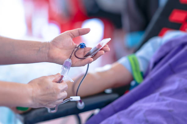 blood donation collection, hand of donor and needle for give blood to bag - healthcare and medicine laboratory senior adult analyzing imagens e fotografias de stock