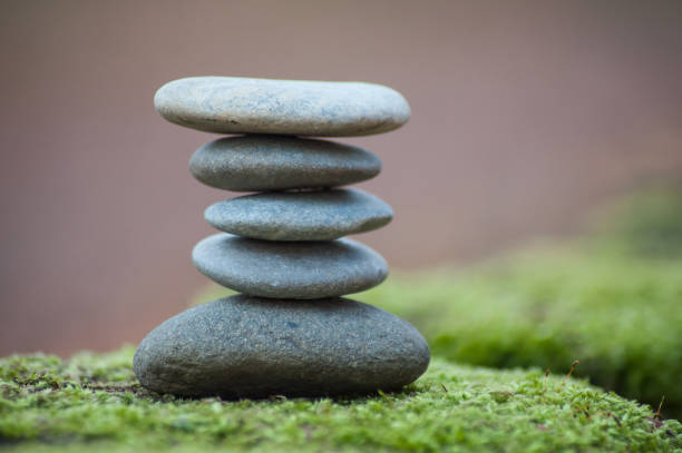 istock stone balance on moss in the forest 1125877163