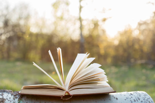 istock Education and wisdom concept - open book under sunlight 1125877173