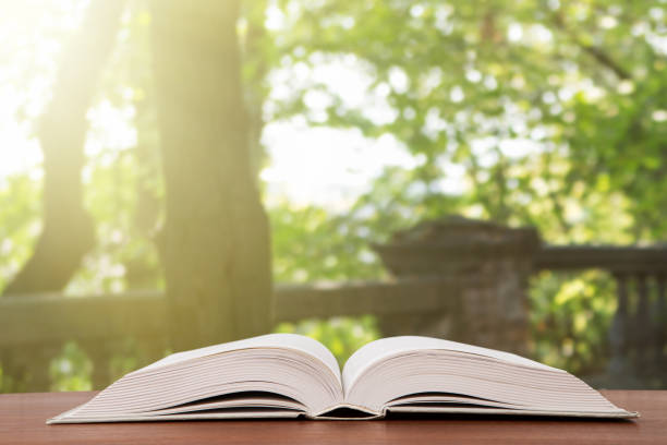 istock Open book over the landscape background 1125877915