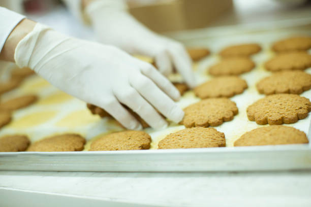 istock Cookies Factory 1125878285