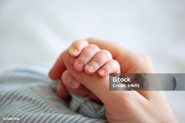 Baby Boy Holding Mothers Hand Stock Photo - Download Image Now - Baby - Human Age, Hand, Newborn