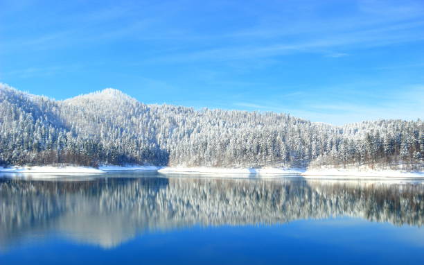 Lake and forest in winter; Gorski kotar area, Croatia stock photo