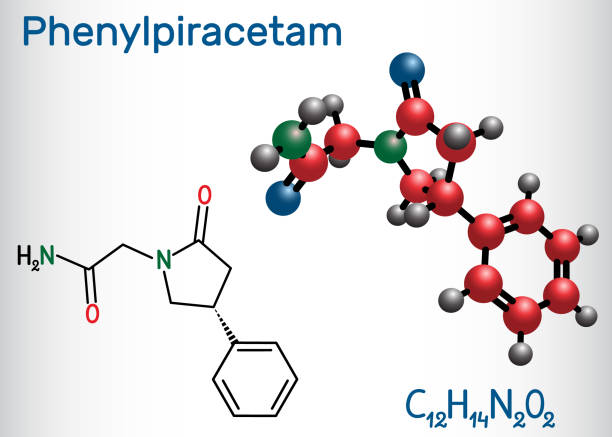 Phenylpiracetam nootropic drug molecule. It is a phenylated analog of the piracetam. Structural chemical formula and molecule model Phenylpiracetam nootropic drug molecule. It is a phenylated analog of the piracetam. Structural chemical formula and molecule model. Vector illustration nootropic stock illustrations