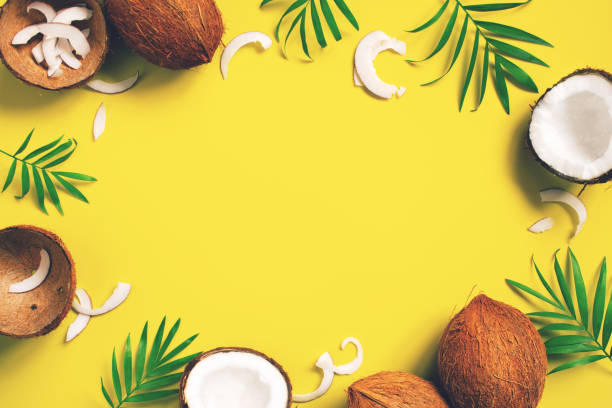 istock Bright yellow tropical background with coconuts and leaves 1125891703