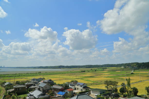 istock Landscape of Imbanuma 1125891923