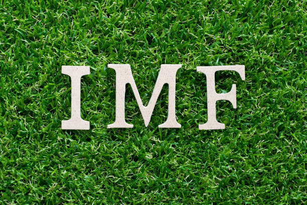 istock Wood alphabet in word IMF (abbreviation of International Monetary Fund) on artificial green grass background 1125892389