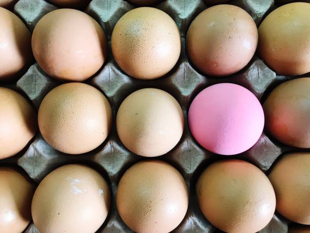 istock Full Frame Shot Of Eggs In Carton 1125893733