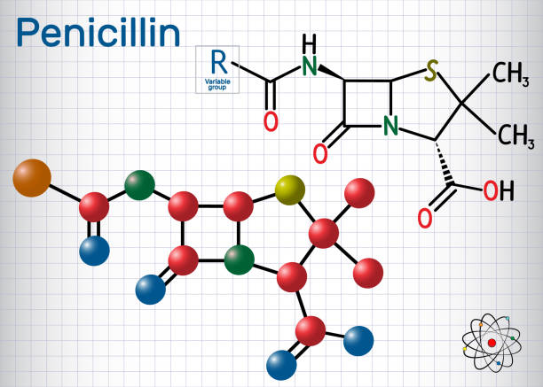 페니실린 (pcn) 분자의 일반적인 공식입니다. 항생제의 그룹 이다입니다. 새 장에 종이의 시트입니다. 구조 화학 공식 및 분자 모델 - penicillin stock illustrations