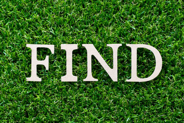 istock Wood letter in word find on artificial green grass background 1125898282