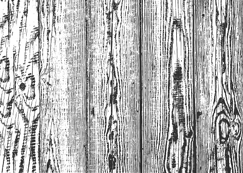 Distress old dry wooden texture. EPS8 vector.Background wood.