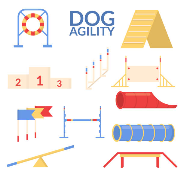 ustaw obiekt sportu zwinności psów. sprzęt treningowy. wektor płaski. - agility stock illustrations