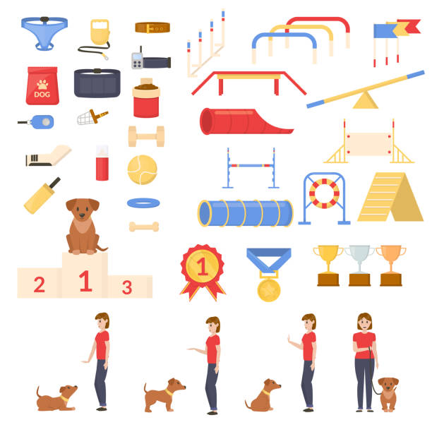 Set of dog care, playing, nutrition, exhibition and training object. Girl with her dog. Command.Vector flat Set of dog care, playing, nutrition, exhibition and training object. Girl with her dog. Command.Vector flat illustration dog agility stock illustrations