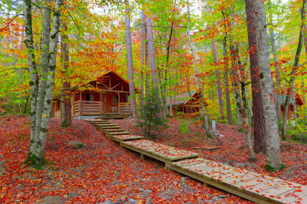 istock Seven Goals (Seven Lakes) Turkey National Park Bolu 1125903273