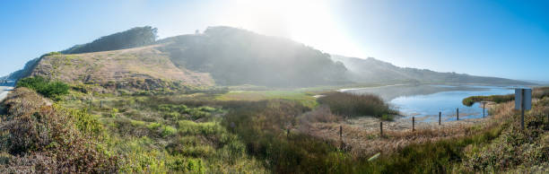 istock pond in haze, backlit by the sun 1125903315