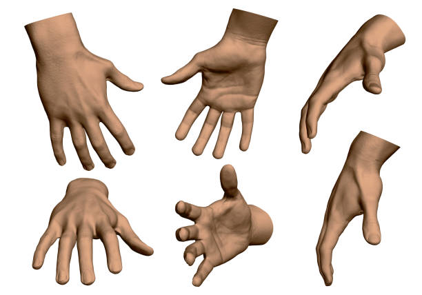 Hand Multiple Angle 110+ Hand Multiple Angles Stock Illustrations, Royalty-Free Vector ...