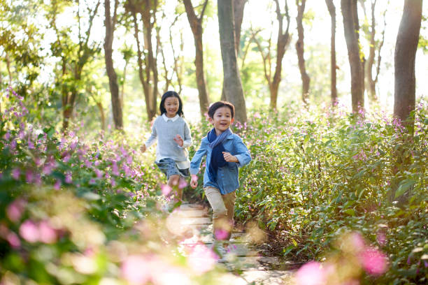 two asian children running through flower field two little asian children boy and girl running through field of flowers in park. happy sibling day stock pictures, royalty-free photos & images