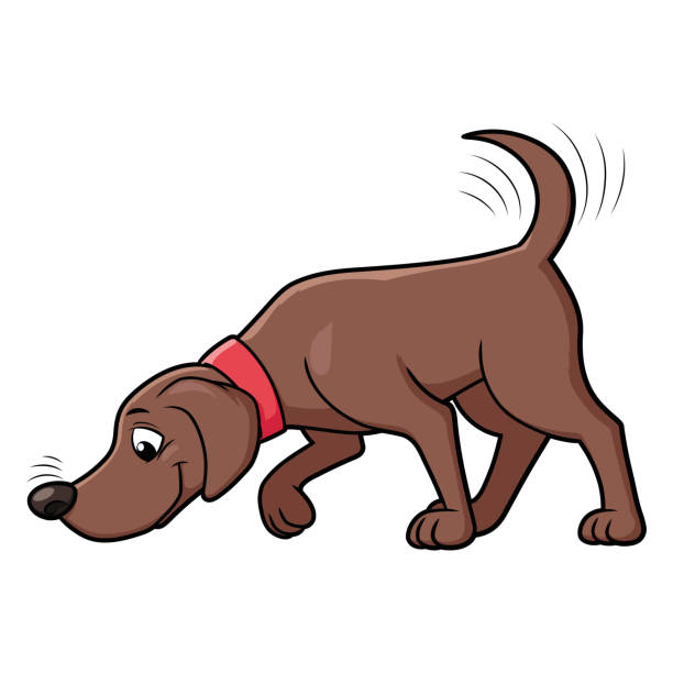 stockillustraties, clipart, cartoons en iconen met hond snuiven van de grond - ruiken