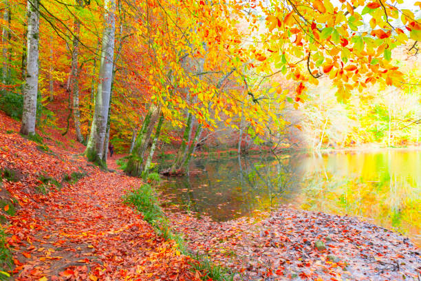 istock Yedi Goller (Seven Lakes ) national park Bolu Turkey 1125908073