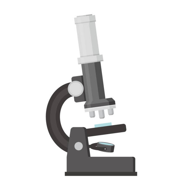 Simple Microscope Vector Illustration Stock Illustration - Download Image  Now - Microscope, Cartoon, White Background - iStock