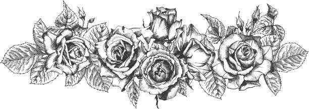 Floral frame. Hand drawn sketch of roses, leaves and branches Detailed vintage botanical illuatration. Floral frame. Hand drawn sketch of roses, leaves and branches Detailed vintage botanical illuatration. Black silhouette isollated on white background Creative graphic art in engraving style tattoo borders stock illustrations