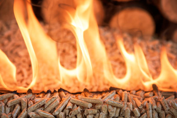 istock Biomass formed in pellets in fire 1125910977