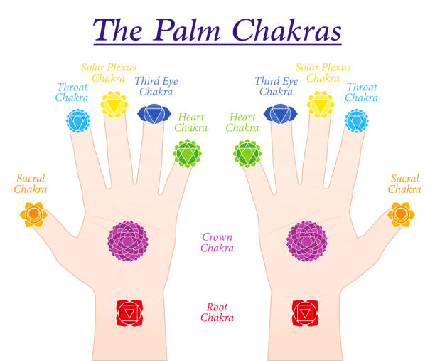 illustrations, cliparts, dessins animés et icônes de chakras de palm. symboles et noms des chakras principaux sur les parties correspondantes des deux mains. illustration vectorielle isolé sur fond blanc. - reiki