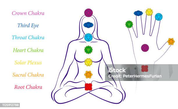 Body And Hand Chakras Of A Woman Illustration Of A Meditating Female In Yoga Position With The Seven Main Chakras And Their Names Stock Illustration - Download Image Now