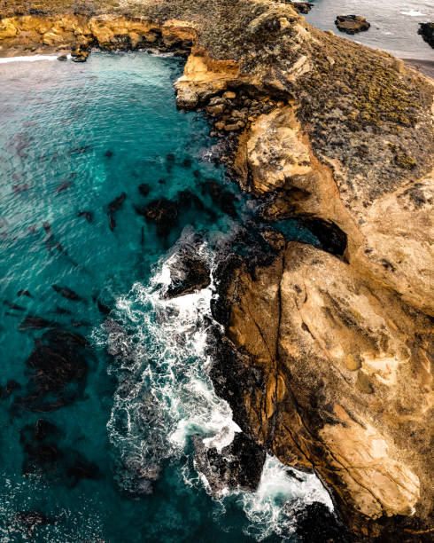istock Point Lobos 1125912826