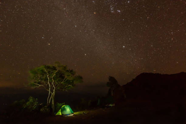 Camping fire under the amazing starry sky