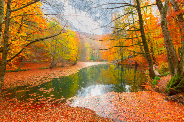 Yedi Goller (Seven Lakes ) national park Bolu Turkey stock photo