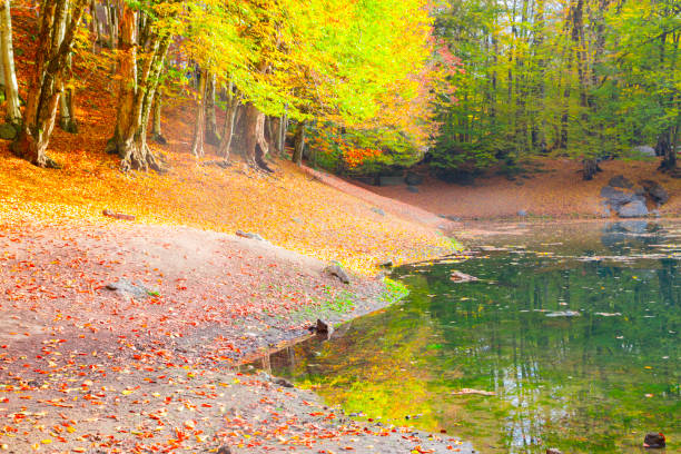 istock Seven Goals (Seven Lakes) Turkey National Park Bolu 1125914549