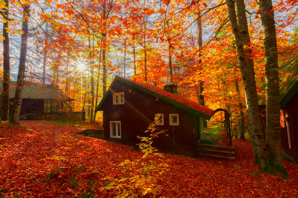 Yedi Goller (Seven Lakes ) national park Bolu Turkey