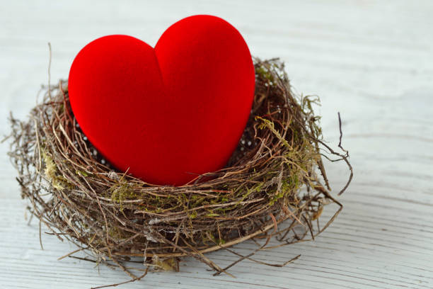 istock Red heart in nest - Love and protection concept 1125918608