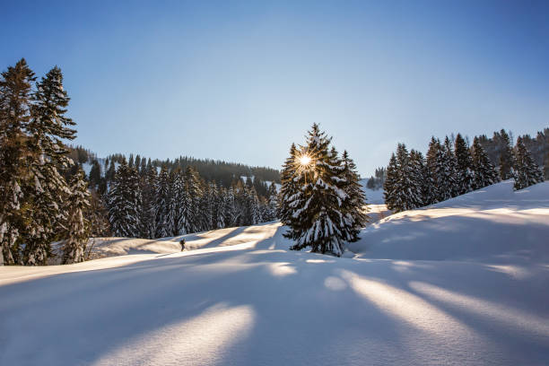 istock Ski touring skiers in the Alps 1125926857