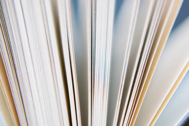 istock View of book pages. 1125927481