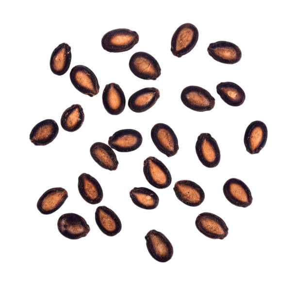 istock watermelon seeds isolated on white background 1125928423