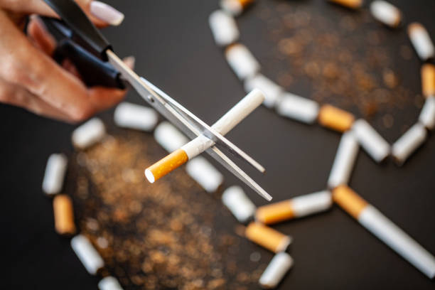 istock Stop smoking concept on background with broken cigarettes. Heap of cigarettes. No smoking 1125929698