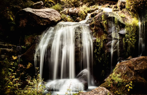 wodospad triberg - black forest waterfall triberg landscape zdjęcia i obrazy z banku zdjęć