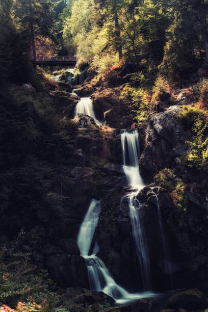 wodospad triberg - black forest waterfall triberg landscape zdjęcia i obrazy z banku zdjęć