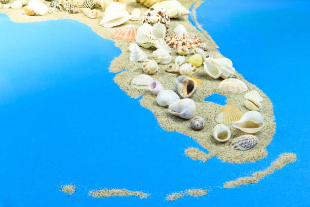 Miami Peninsula of sand and shells The contours of the Miami Peninsula are made of sand. The shells are laid up. white sailboat silhouette stock pictures, royalty-free photos & images