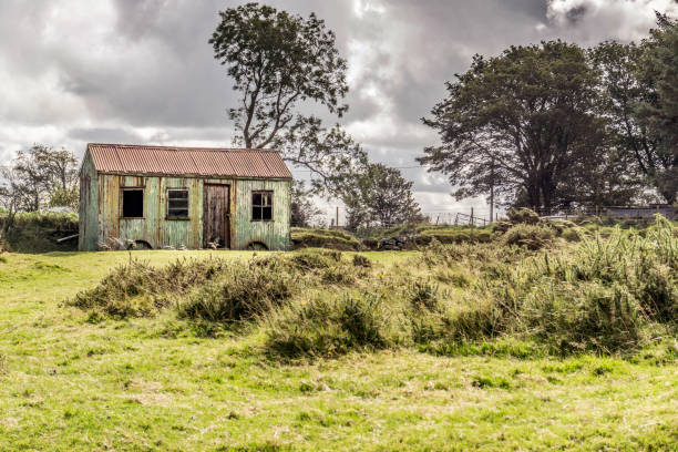 istock Pembrokeshire National Park - Preseli Mountains 1125944702