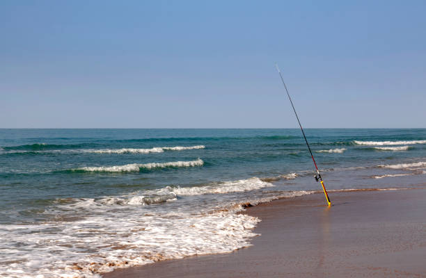 istock the fish rod is in the sand on the beach 1125944782