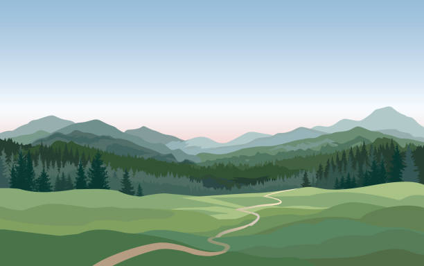 ilustraciones, imágenes clip art, dibujos animados e iconos de stock de paisaje rural. montañas, colinas, campos naturaleza fondo - forest