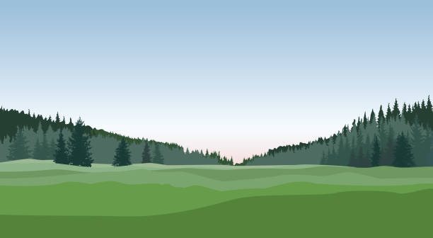 ilustraciones, imágenes clip art, dibujos animados e iconos de stock de paisaje rural. fondo de horizonte de campo naturaleza - tree silhouette meadow horizon over land