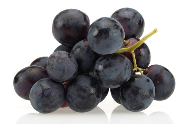 istock Bunch of black grapes on white background 1125948259