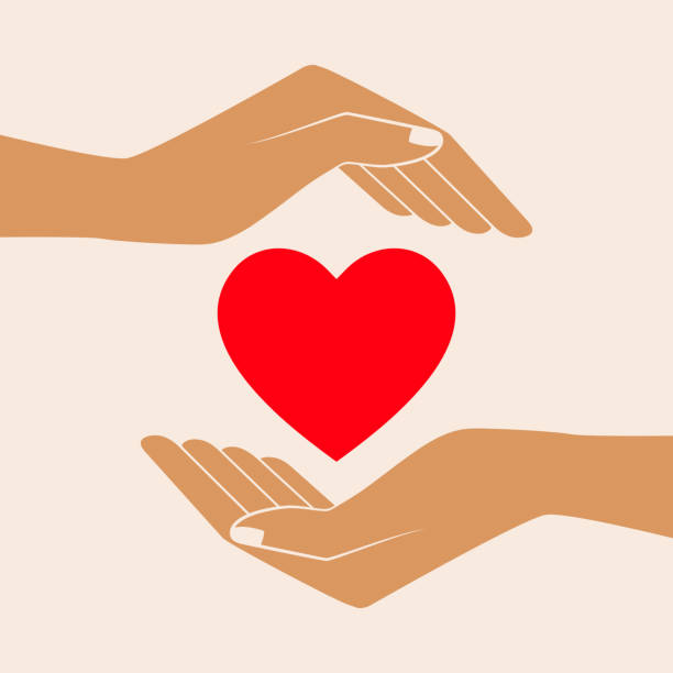 ilustrações de stock, clip art, desenhos animados e ícones de hands giving love symbol. - heart shape giving human hand gift