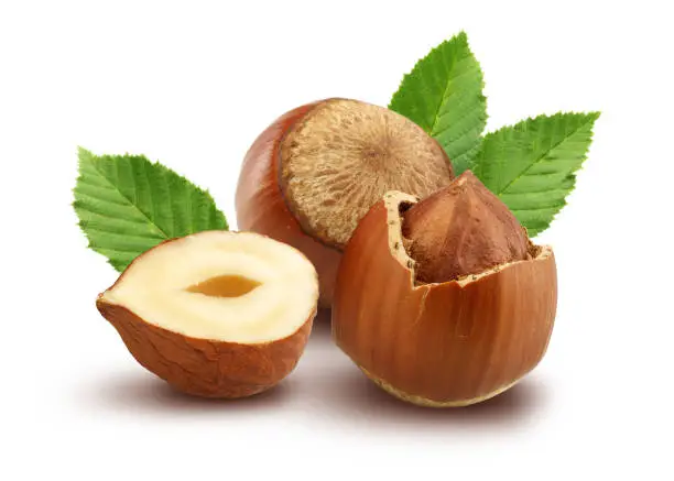 Photo of Hazelnuts and leaves on white background